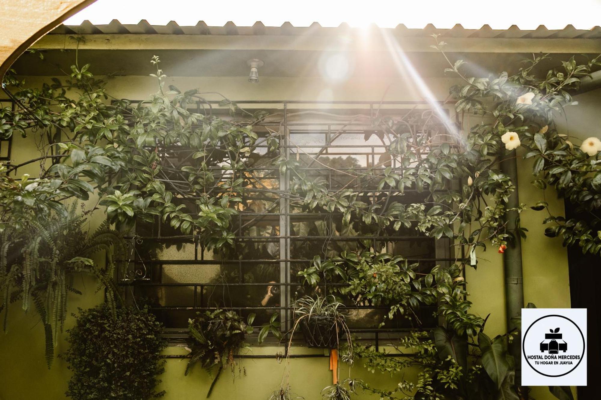 Hostal Dona Mercedes Juayúa Zewnętrze zdjęcie